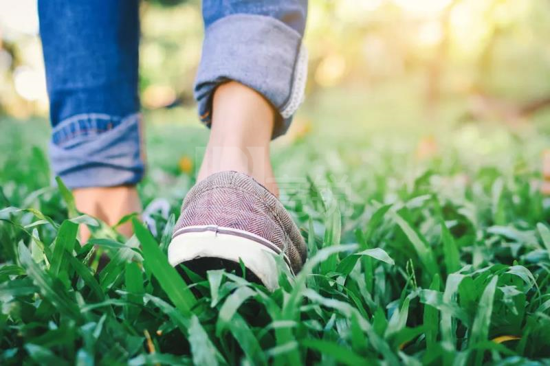 【新闻图片】昕诺飞在应对气候行动与透明度方面获得全球环境信息研究中心的A级评分 2.jpg 【新闻图片】昕诺飞在应对气候行动与透明度方面获得全球环境信息研究中心的A级评分 2.jpg