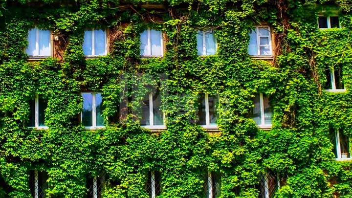 【新闻图片】昕诺飞在应对气候行动与透明度方面获得全球环境信息研究中心的A级评分 1.jpg 【新闻图片】昕诺飞在应对气候行动与透明度方面获得全球环境信息研究中心的A级评分 1.jpg